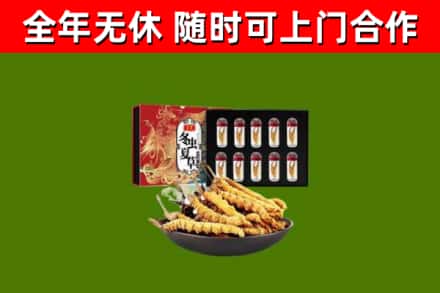 泽普回收冬虫夏草价格